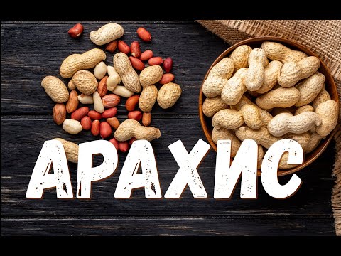 Как растет арахис | peanut