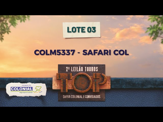 LOTE 03 COLM 5337