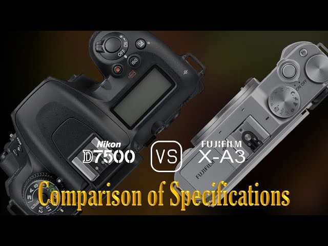 Nikon D750 vs D7500 – what's the difference?