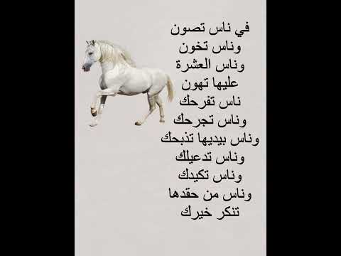 حكمة اليوم حكم واقتباسات عميقة