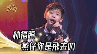 林福臨 - 燕仔你是飛去叨(白冰冰)｜純享版｜超級紅人榜｜112.10.29