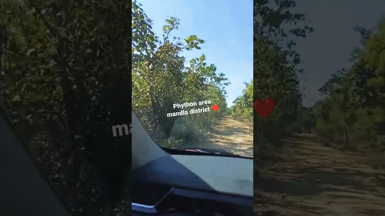 python area mandla vlog❣️