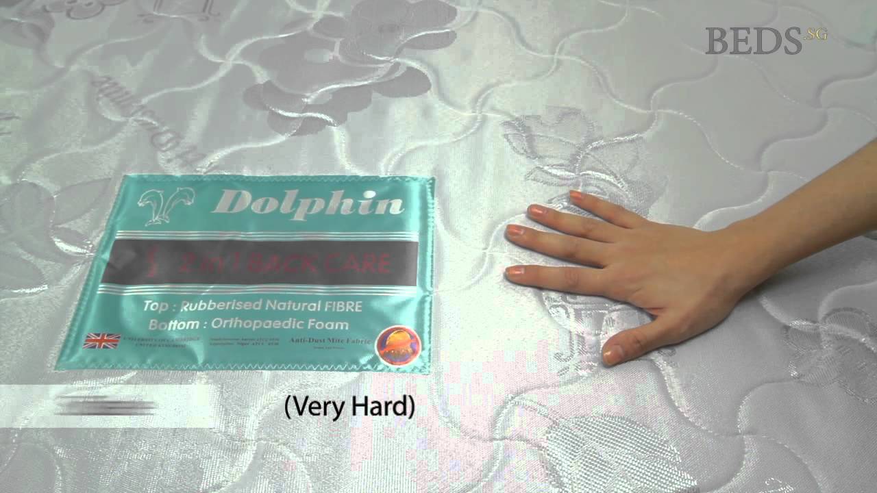 dolphin air ripple mattress