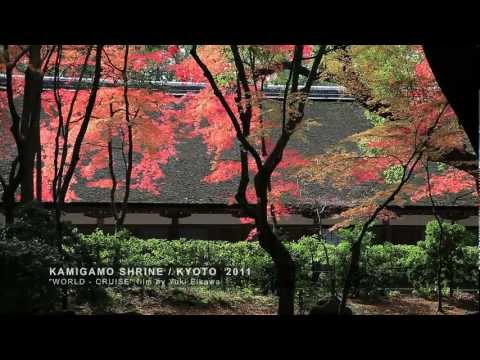 Amazing autumn leaves in Kyoto