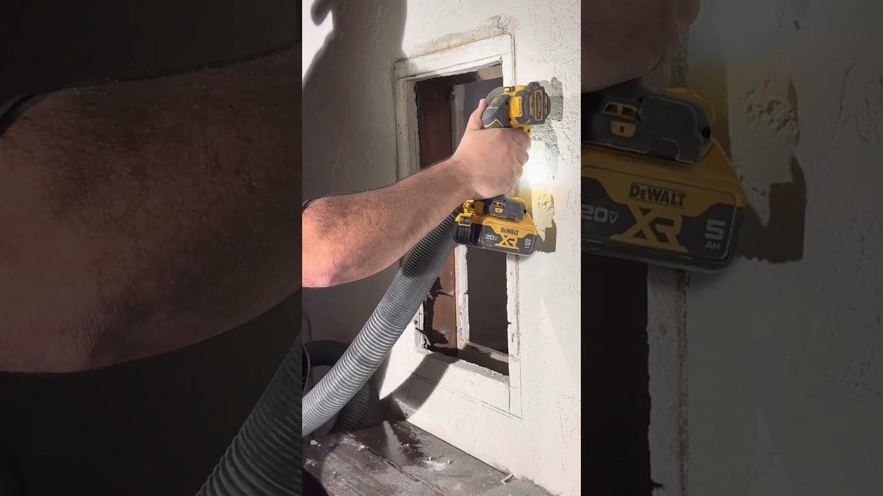 Cutting the wall and installing a built-in dog door so my pup can roam freely.”