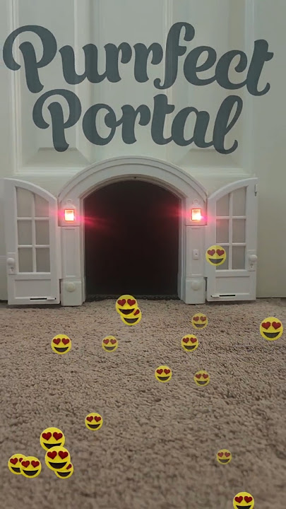 1-Year with the Purrfect Portal Cat Door – Worth It? 🐾😻#purrfect  #catdoor #catlover #petproducts