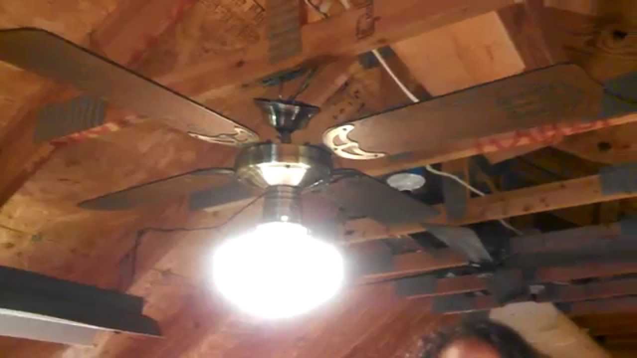 Jcpenney Ceiling Fans Shelly Lighting