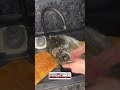 Муж хочет продать квартиру и начать бизнес, а я против! #история #биз
