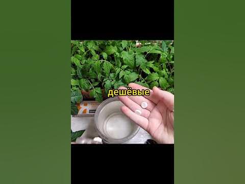 Калий и магний для рассады - YouTube