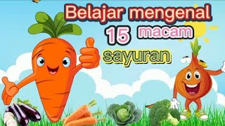 Belajar mengenal 15 macam sayuran/video pendidikan anak paud/TK/SD
