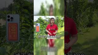 **轻松提升运势:五个简单实用的玄学小技巧**