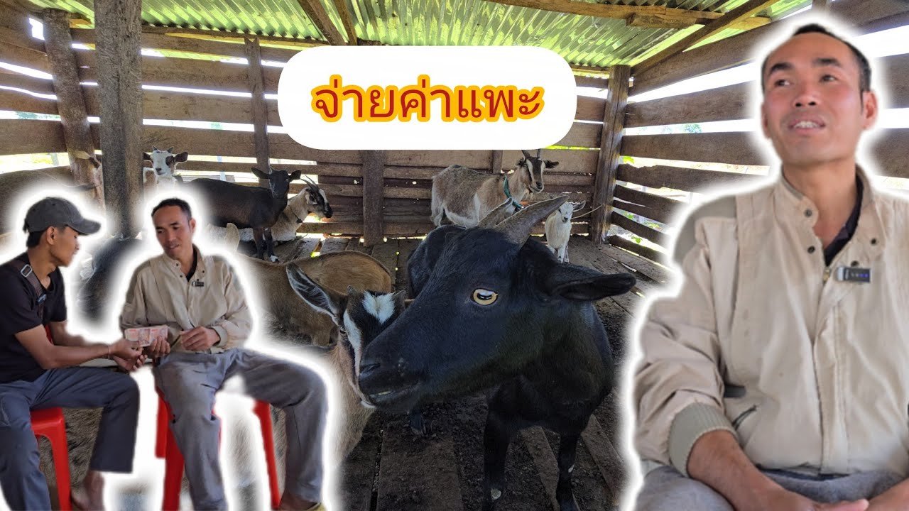 ขอบคุณบ่าววงที่ช่วยบ่าวตูนและน้องบอง8 มีนาคม ค.ศ. 2026