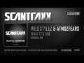 Wildstylez & Atmozfears - What It's Like (HQ Preview)