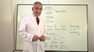 PROTEIN METABOLISM PROTEIN METABOLISM