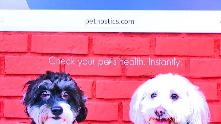 Philip Cooper discusses the pet market in China