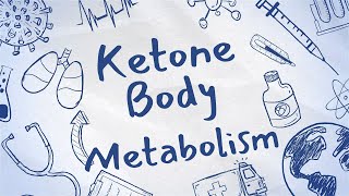 Ketone Body Metabolism-Made Easy