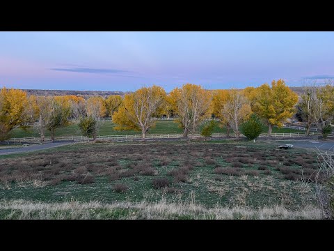 4521 Mesa View Rd, Buhl, ID home video tour