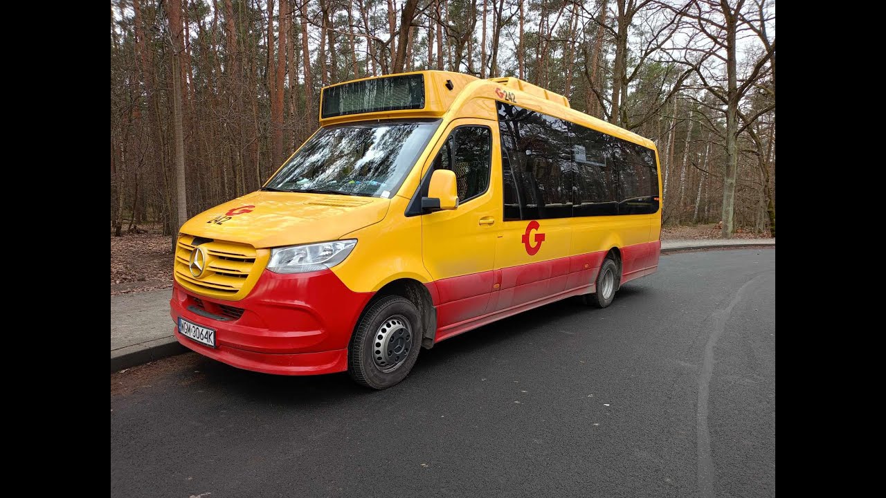 PKS Tarnobrzeg linia 97 k. Malichy, Mercedes-Benz Sprinter City 517 / Mercus #242