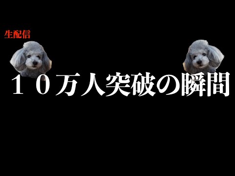 5ヶ月になるトイプードル を飼っています 犬に穴を掘る修正があ Yahoo 知恵袋