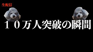 🐶チャンネル登録１０万人突破の瞬間を皆さんと向かえたい配信【トイプードル】