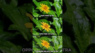 Samsung Galaxy S26 Ultra vs ViVO X300 ultra vs oppo find x9 ultra photography Test Camera Testing