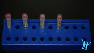 MTB Detection Workflow on Huwel Mini RT-PCR | Quantiplus® MTB FAST Test