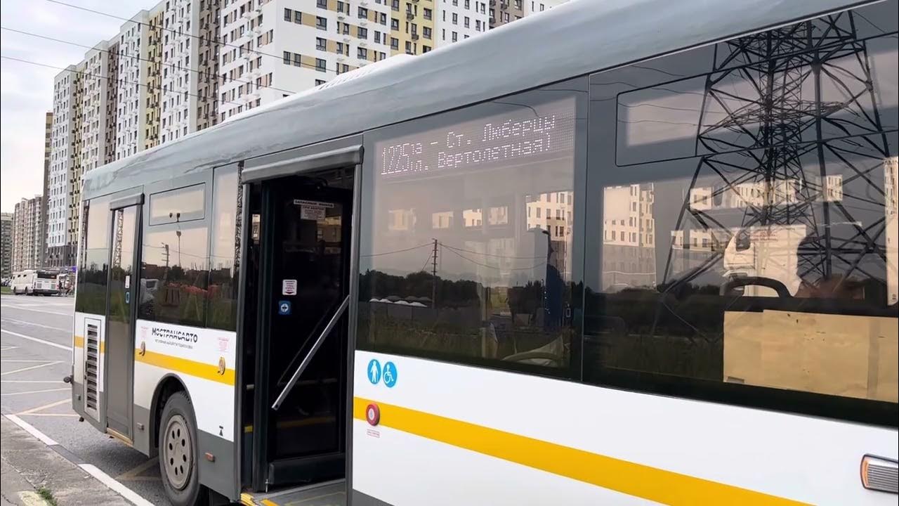 Добирается в школу на автобусе. Добирается в школу на автобусе