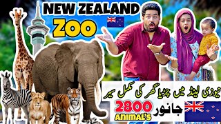 Day in the Life at the World’s Best Zoo With Family  | Auckland Zoo New Zealand  Full Tour