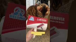 One swipe and the fur is GONE  No sticky. No mess. Just clean furniture again.#CatTok #petproducts