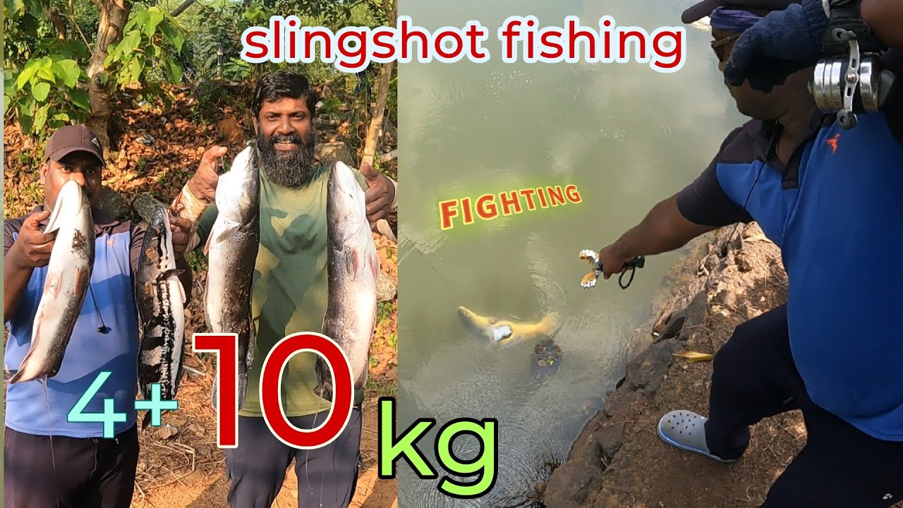 ഇവന്മാരുടെ ഫൈറ്റിംഗ് 😱ഒന്ന് കാണണം!slingshot fishing vaaha
