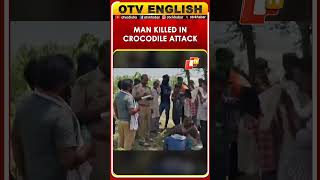 Crocodile Attack In UP’s Gonda Kills Man While Preparing Funeral Pyre Near Saryu River | UP