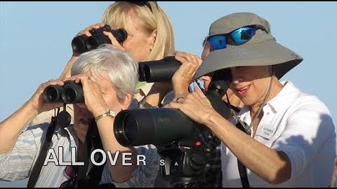 March 24, 2021 The Power of eBird