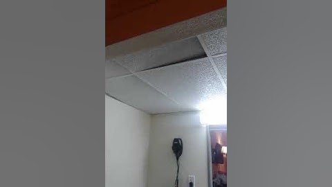 "Ghost" Ruffles Ceiling in Hotel Room