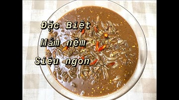 Vol 65 | Cách làm mắm nêm cá cơm thơm, ngon, không bị có giòi | Thuy Tran