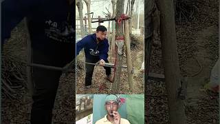 Smart Tree Fixing Tool Process | গাছ সোজা করতে বিশেষ টুল ব্যবহার করা হচ্ছে #shorts #gardening #facts