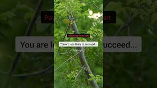 Interesting Psychology Facts Alert