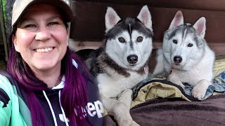 Heading to the Next Campground | Camping With Dogs