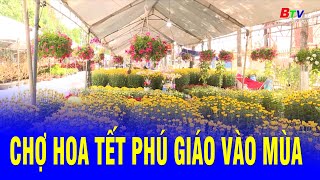 Chợ hoa Tết Phú Giáo vào mùa | BTV - TRUYỀN HÌNH BÌNH DƯƠNG