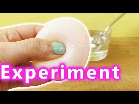 Experiment rohes Ei in Essig?! Wie macht man ein glibbriges Gummi Ei | Kinder Experiment