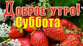 Доброго Утра Ах Лето Суббота Песня Пожелание С Добрым Утром Музыкальная открытка Солнечной Субботы