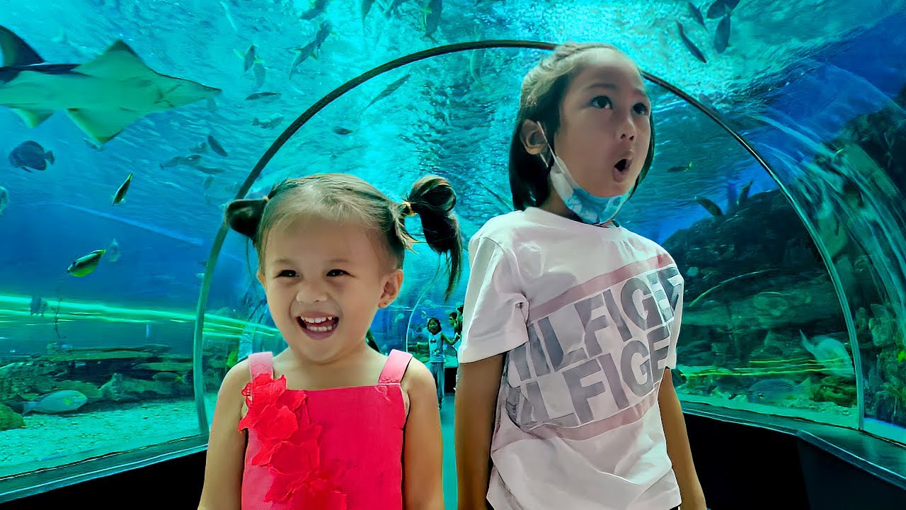 Arin's Ocean Park Adventure YouTube