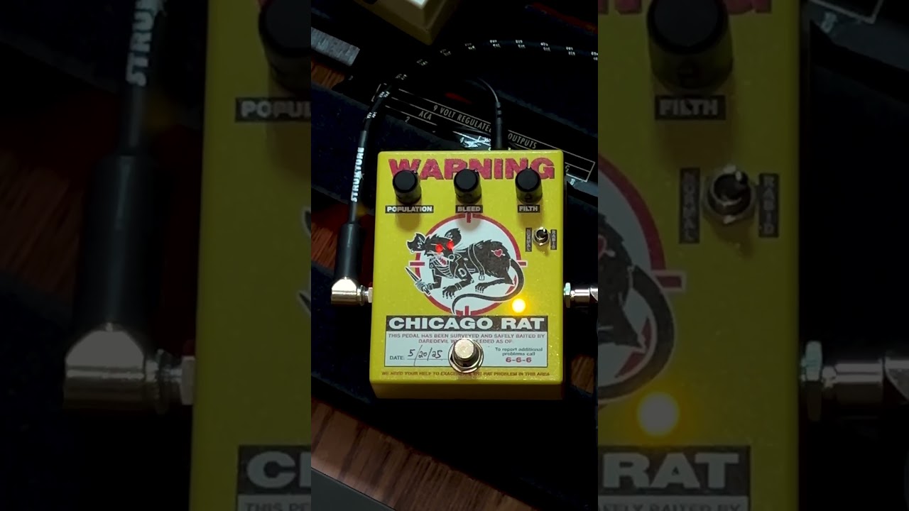 Chicago Rat riffing over lunch 