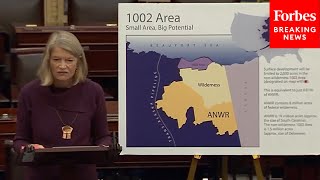 Murkowski Touts Bills To Nullify Biden's Effort To 'Effectively Shut Down Resource Production' In AK
