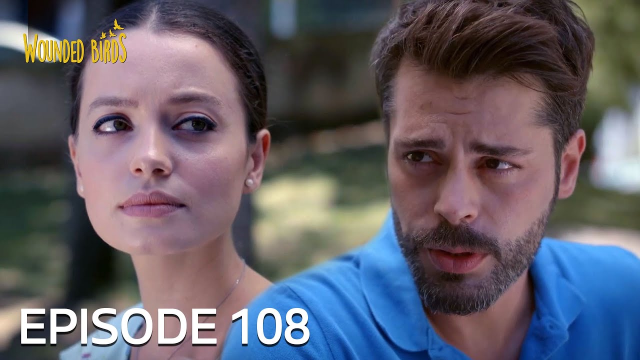 Wounded Birds | Episode 108