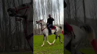 Dedemden Dinlediğim Bir Anıyı Anlatayım