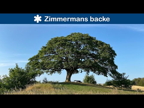Mikey WooDoo’s “Zimmermans backe - Skånes naturreservat” dates from 17 August 2020 and runs 3:33. Its description calls the reserve small, about two hectares, and mentions its roughly 25-metre hill. It is a concise introduction to the green rise at Skurup’s edge, not a substitute for current local access information.