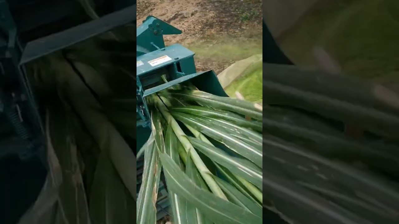 STOP Wasting Money on the WRONG Straw Crusher!