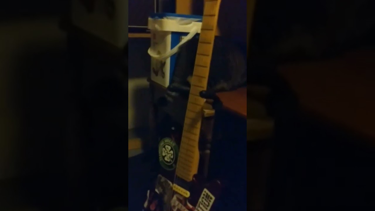 Cat Vs. Big Ol' Bee (aka Playtime With New Friend At Cat Castle)