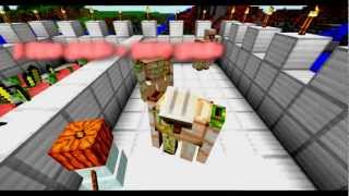Minecraft Battles - Iron Ems Vs. Zombie Pigmen
