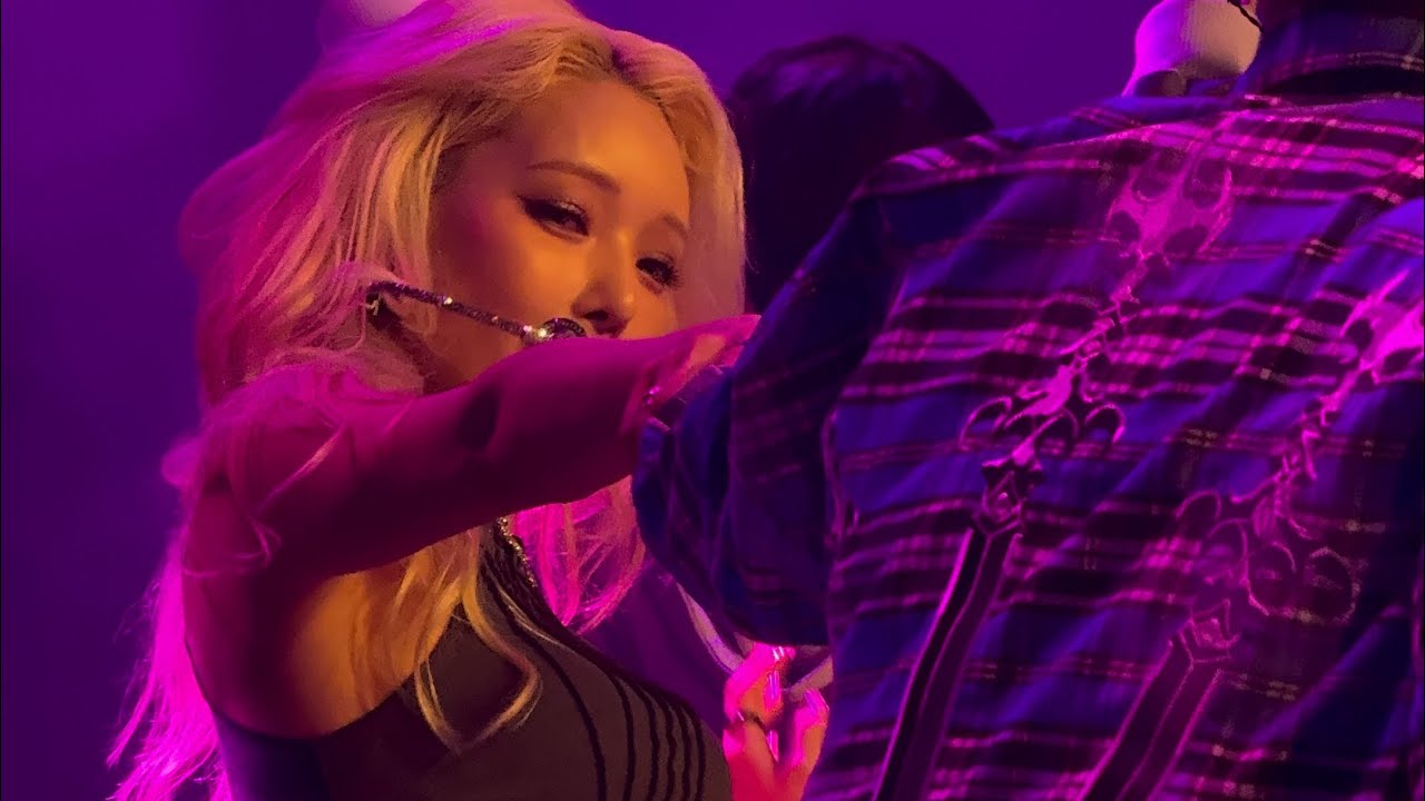 Kard Where to Now Amsterdam 24/11/2024 Full Performance